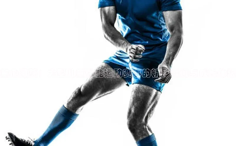 人生搏中国官网入口