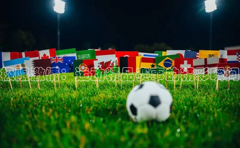 尊龙官方app下载